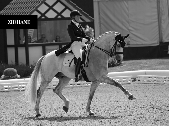 Anne van Olst Van Olst Horses