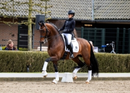 Ofrederic-2026-03klein